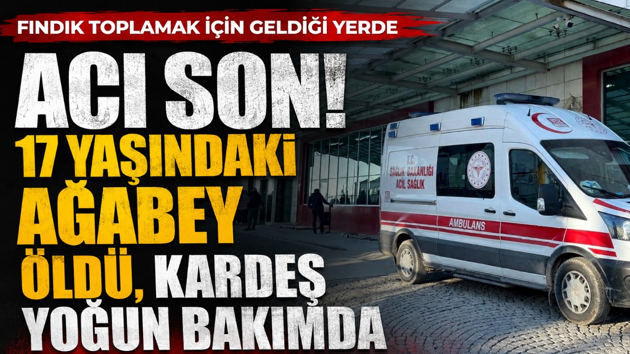 Fındık toplamak için geldiği yerde acı son! 17 yaşındaki ağabey öldü, kardeş yoğun bakımda