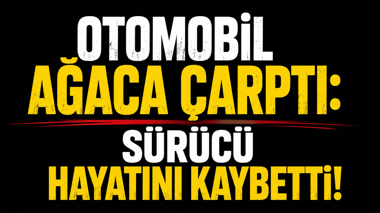 Ordu’da otomobil ağaca çarptı: Sürücü hayatını kaybetti