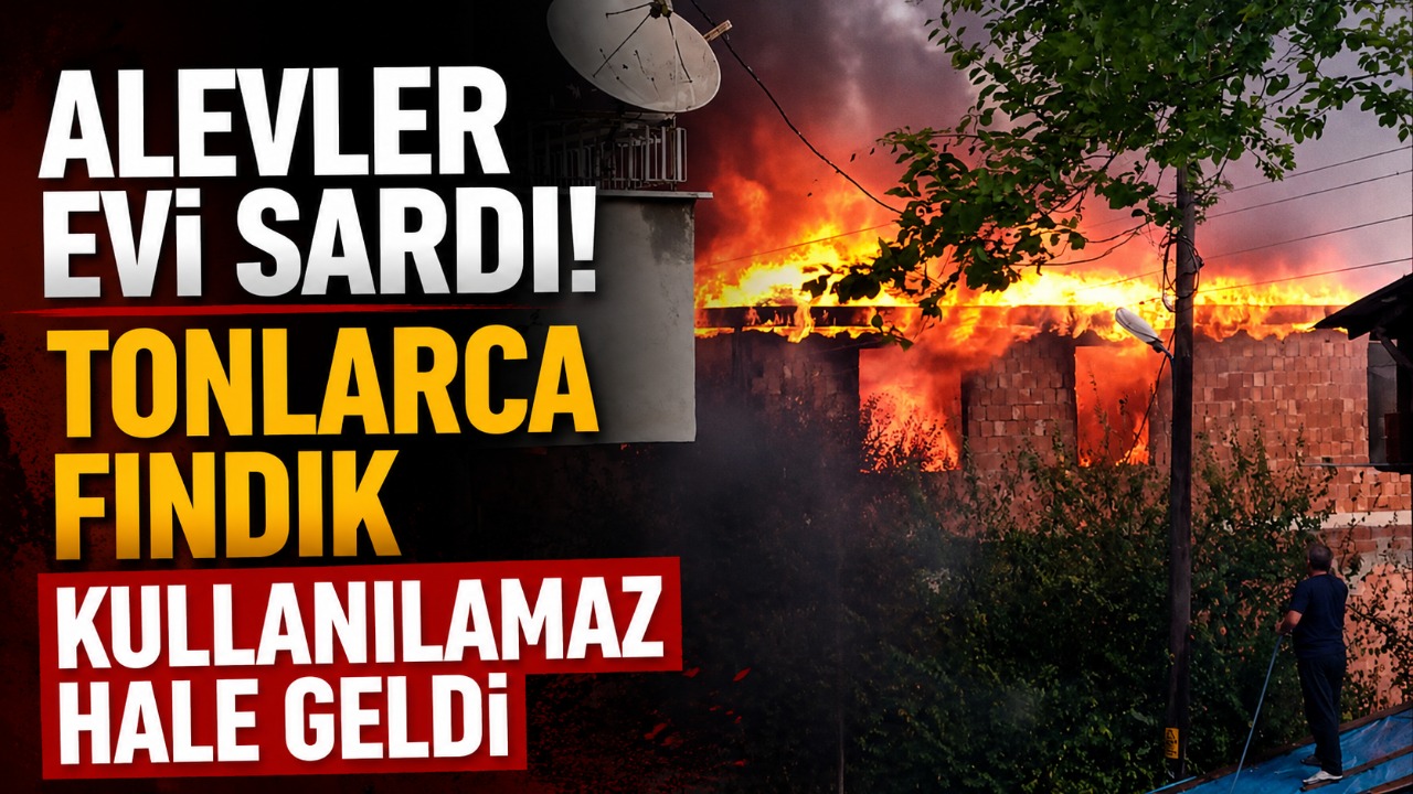 Alevler evi sardı! Tonlarca fındık kullanılamaz hale geldi