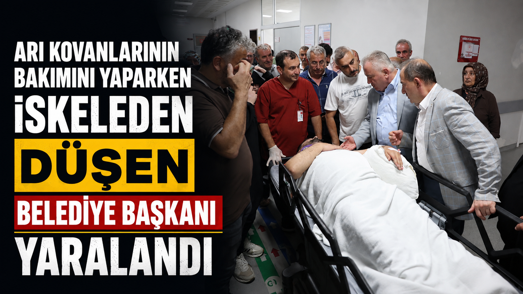 Arı kovanlarının bakımını yaparken iskeleden düşen belediye başkanı yaralandı