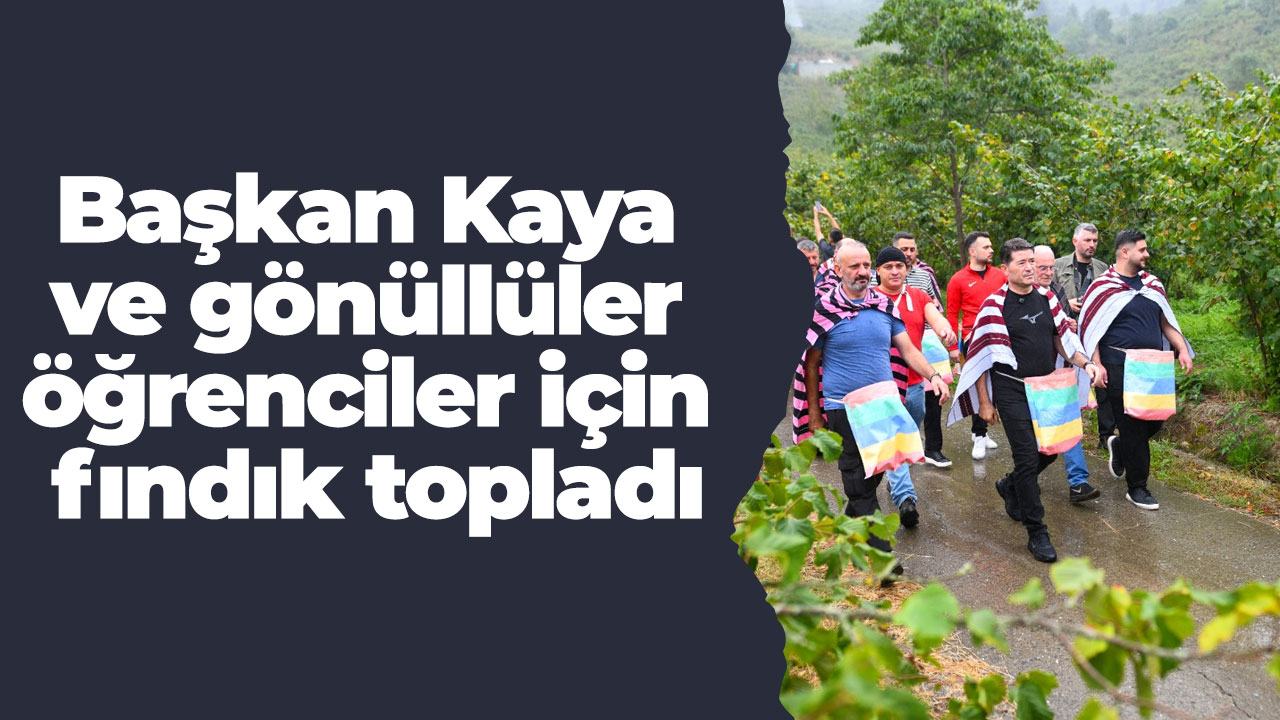 Başkan Kaya ve gönüllüler öğrenciler için fındık topladı