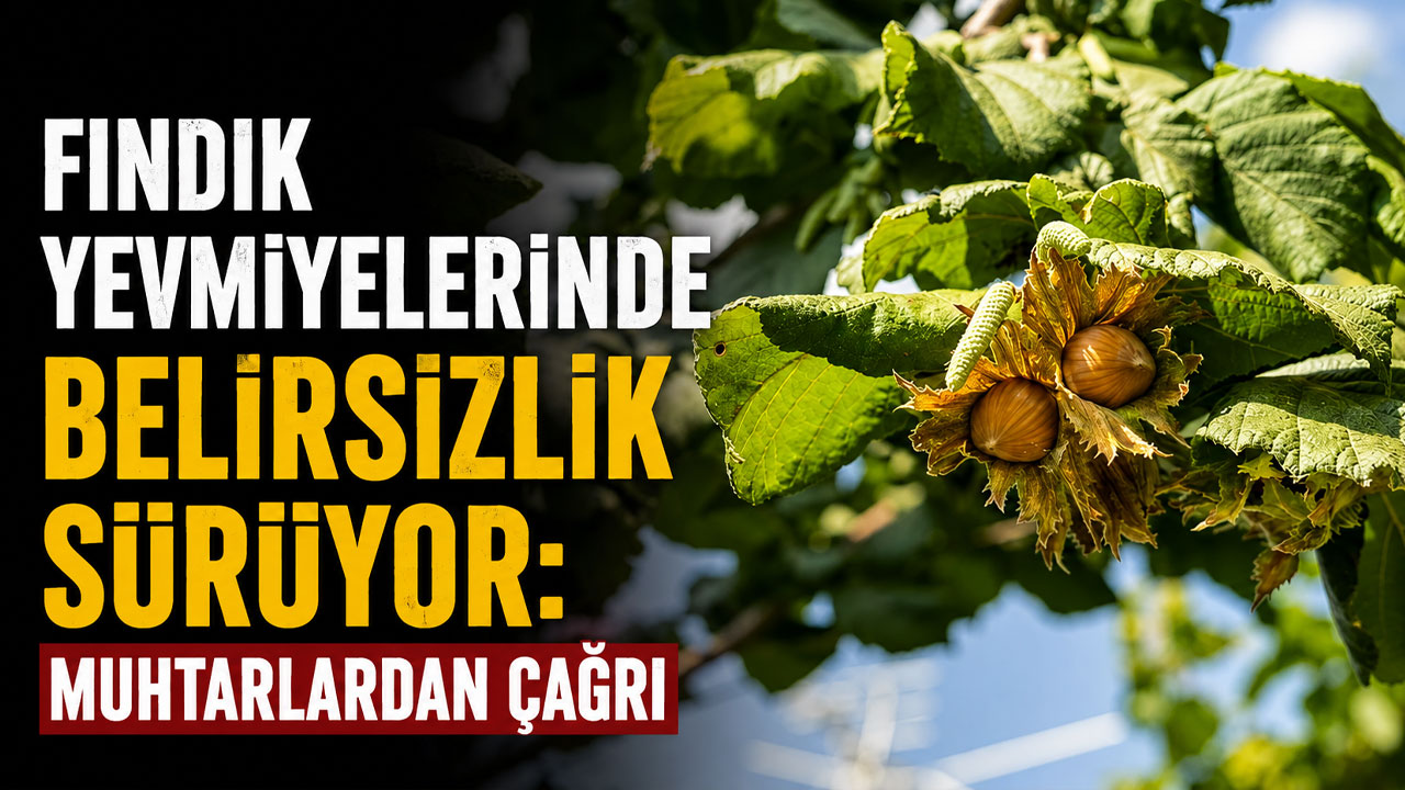 Fındık yevmiyelerinde belirsizlik sürüyor: Muhtarlardan çağrı
