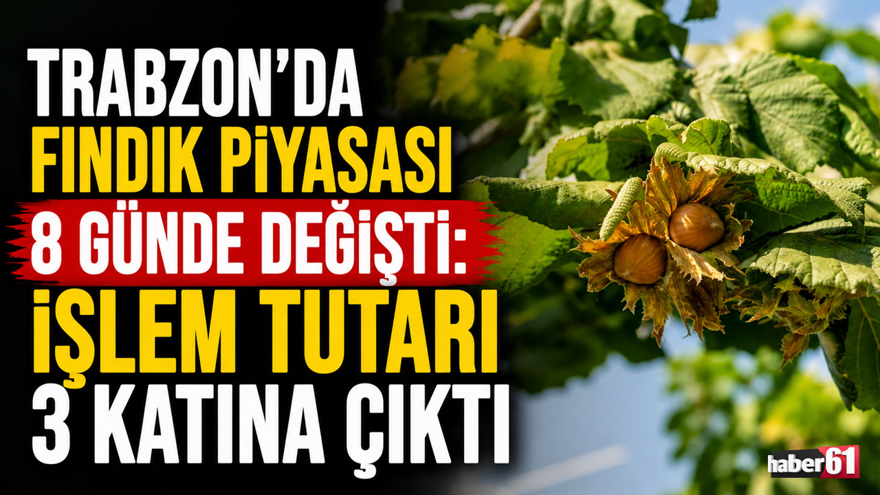 Trabzon’da fındık piyasası 8 günde değişti: İşlem tutarı 3 katına çıktı