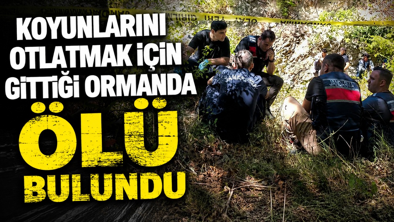 Koyunlarını otlatmak için gittiği ormanda ölü bulundu