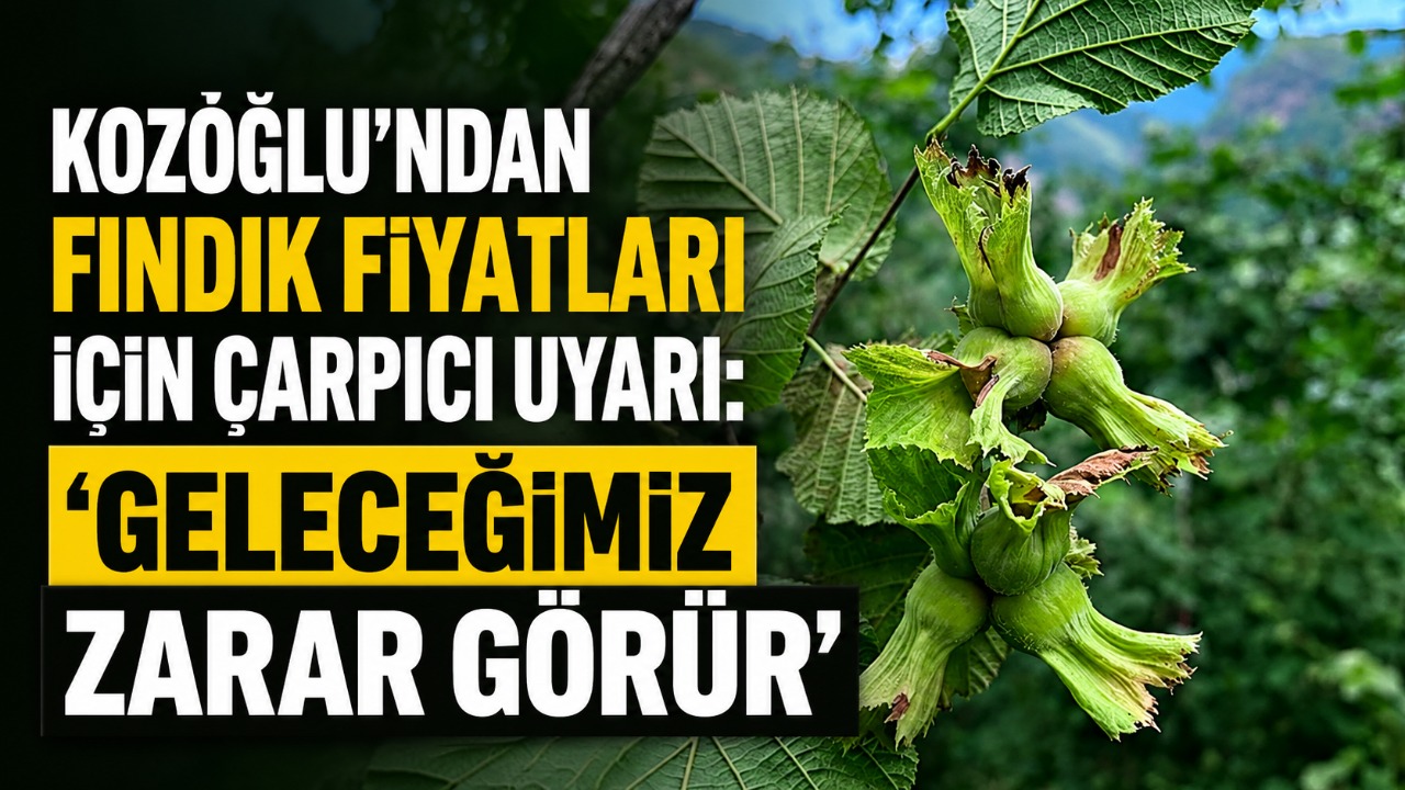 Kozoğlu’ndan fındık fiyatları için çarpıcı uyarı: “Geleceğimiz zarar görür”