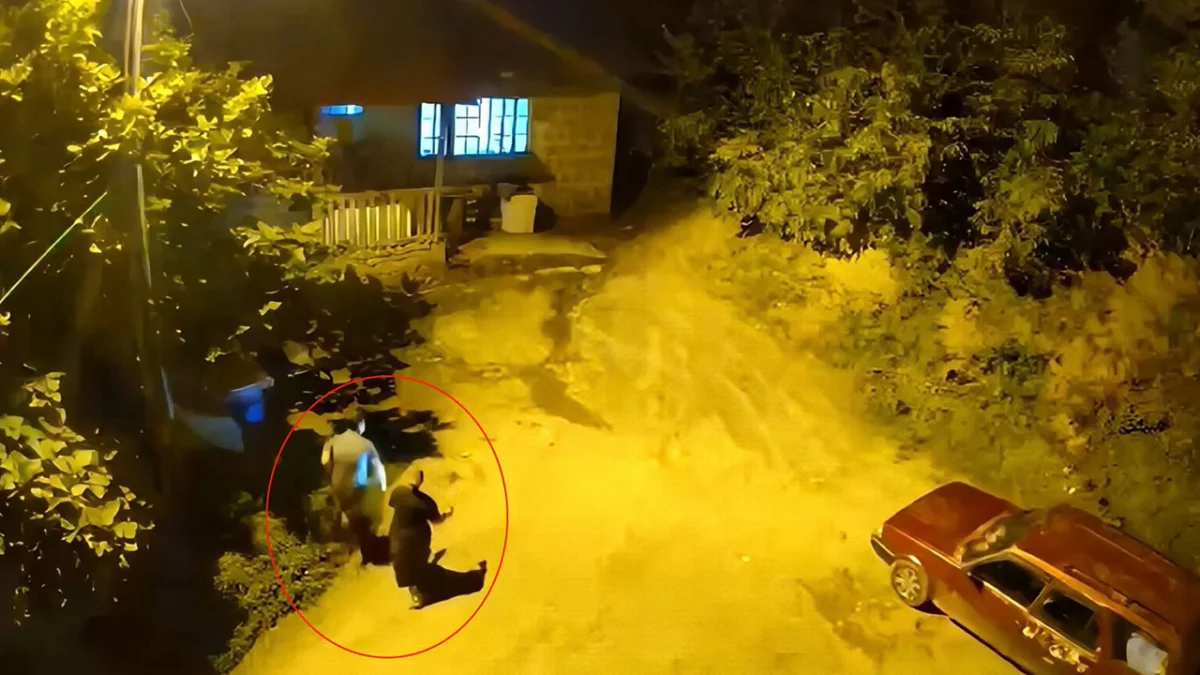 Artvin’de anne ve oğlunun ayı sesini duyunca kaçtığı anlar