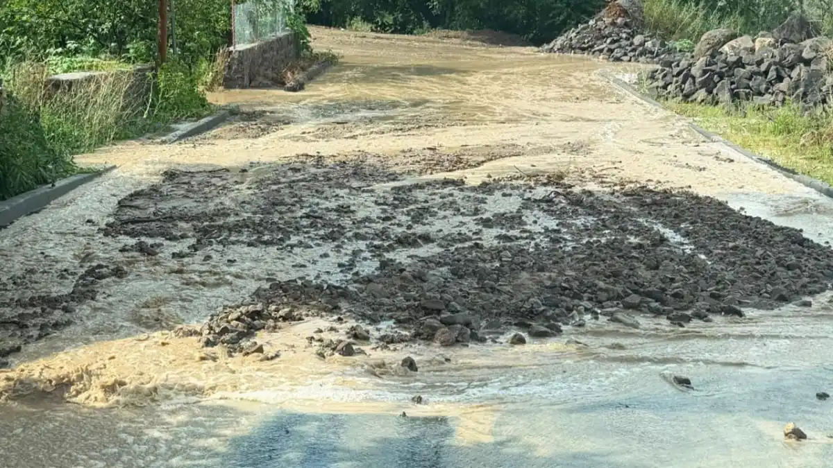 Artvin’de sağanak etkili oldu! Yollar göle döndü