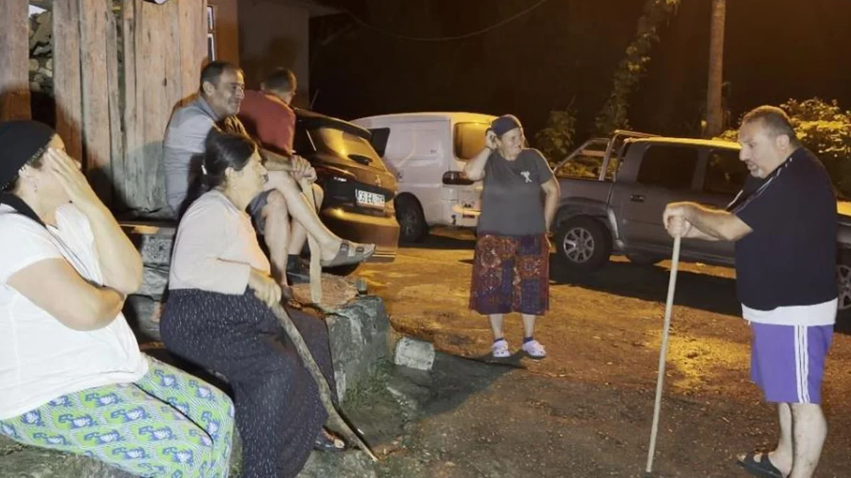 Artvin’de yaban domuzları tarlaları talan etti! Köylüler gece nöbetinde