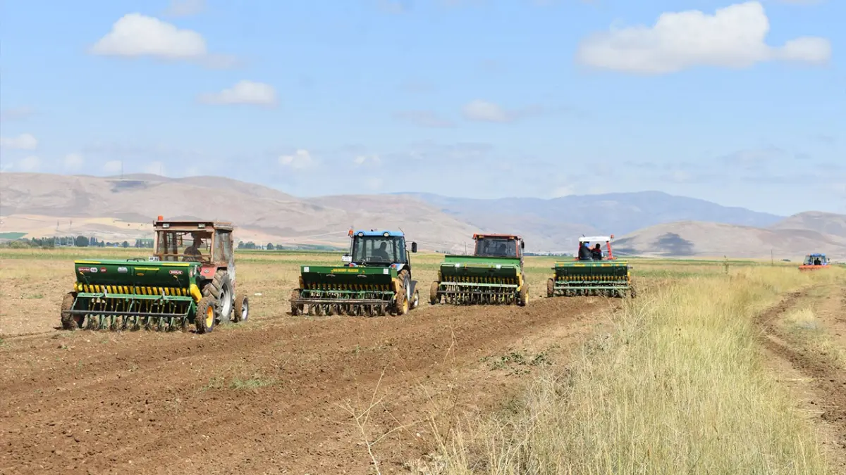 Bayburt’ta 50 dekarlık alanda suni mera tesisi oluşturuldu