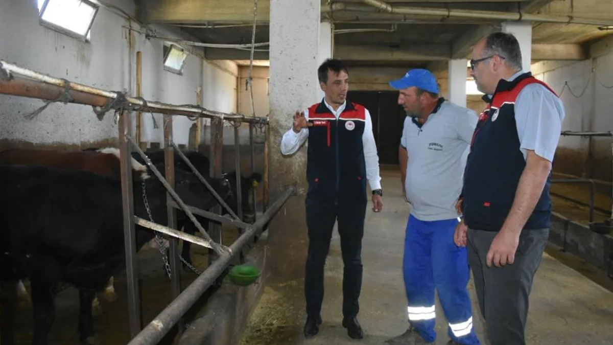 Bayburt'ta hayvancılık projesi yerinde incelendi! Üreticiler ziyaret edildi