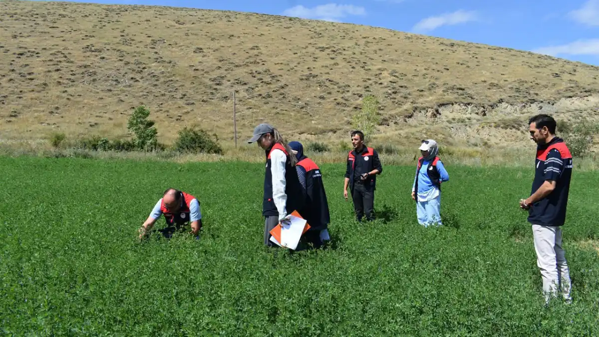 Bayburt'ta tarımsal üretim kontrollerinde sona yaklaşıldı