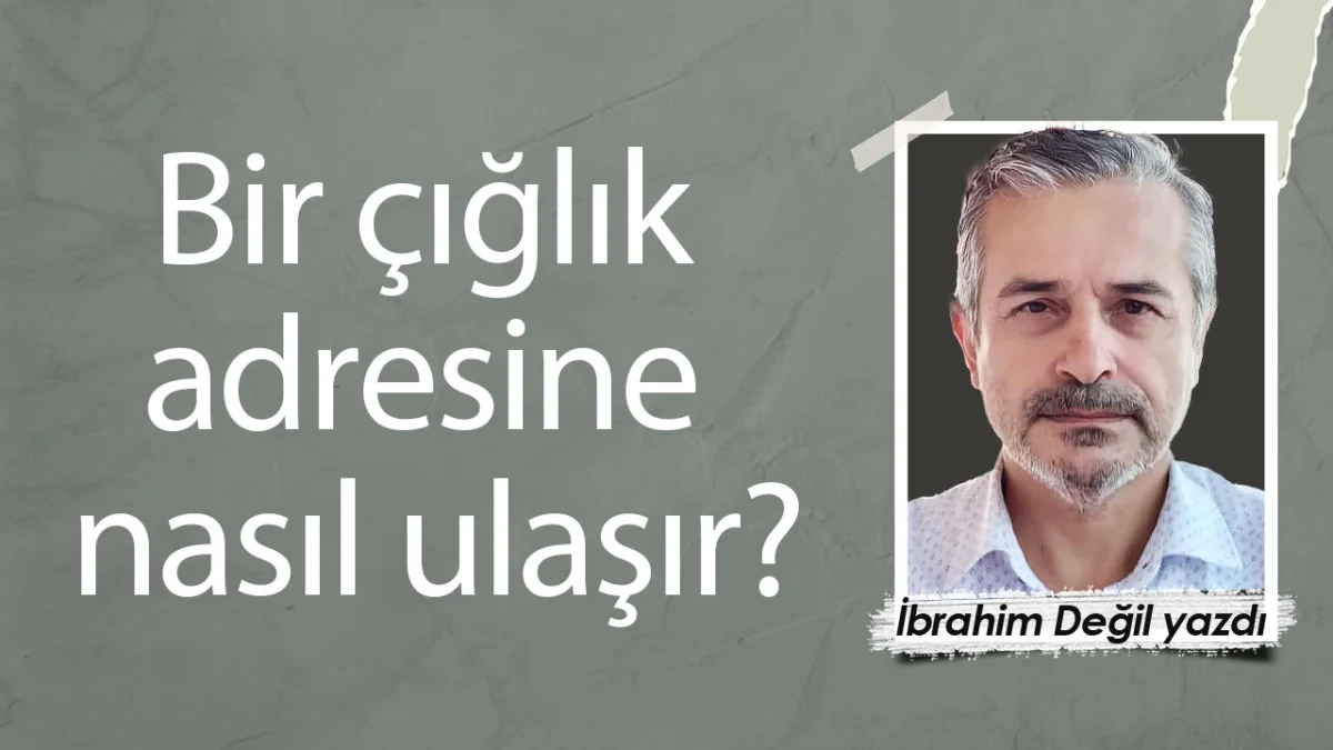 Bir çığlık adresine nasıl ulaşır?