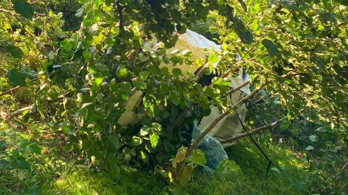 Fındık bahçesine devrilen kamyonetten acı haber geldi! 1 kişi öldü