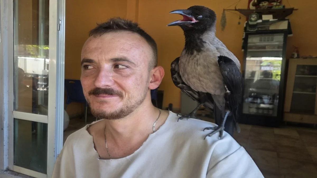 Doğaya bıraktı ama o geri döndü! 'Köyün maskotu oldu'