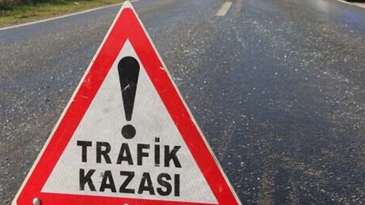 Fındık işçilerini taşıyan Trabzon plakalı kamyonet devrildi: 14 yaralı