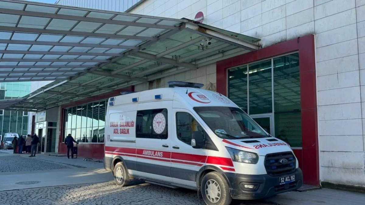 Fındık toplamak için geldiği yerde acı son! 17 yaşındaki ağabey öldü, kardeş yoğun bakımda