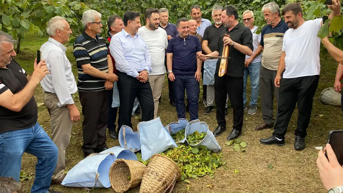 Giresun Espiye’de fındık hasadı öncesi temsili etkinlik