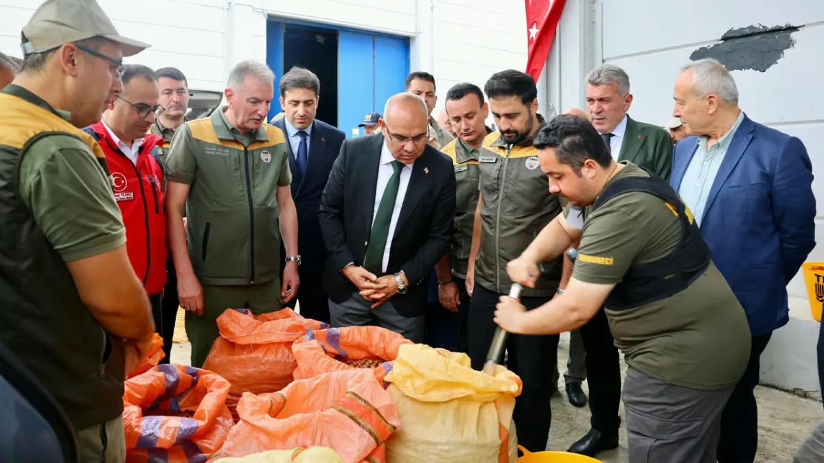 Giresun’da TMO 2026 yılı fındık alımına başladı
