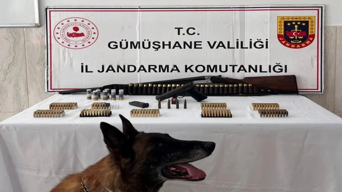 Gümüşhane’de jandarmadan ruhsatsız silah operasyonu