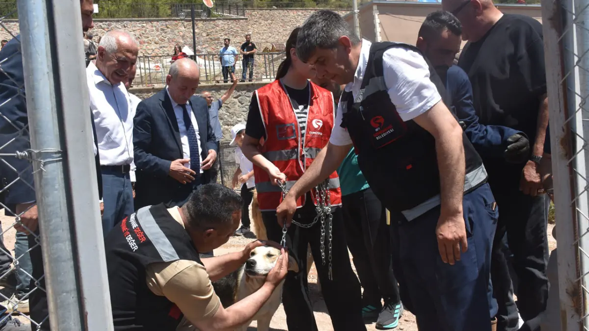 Gümüşhane'de sahipsiz hayvanlar için doğal yaşam alanı açıldı