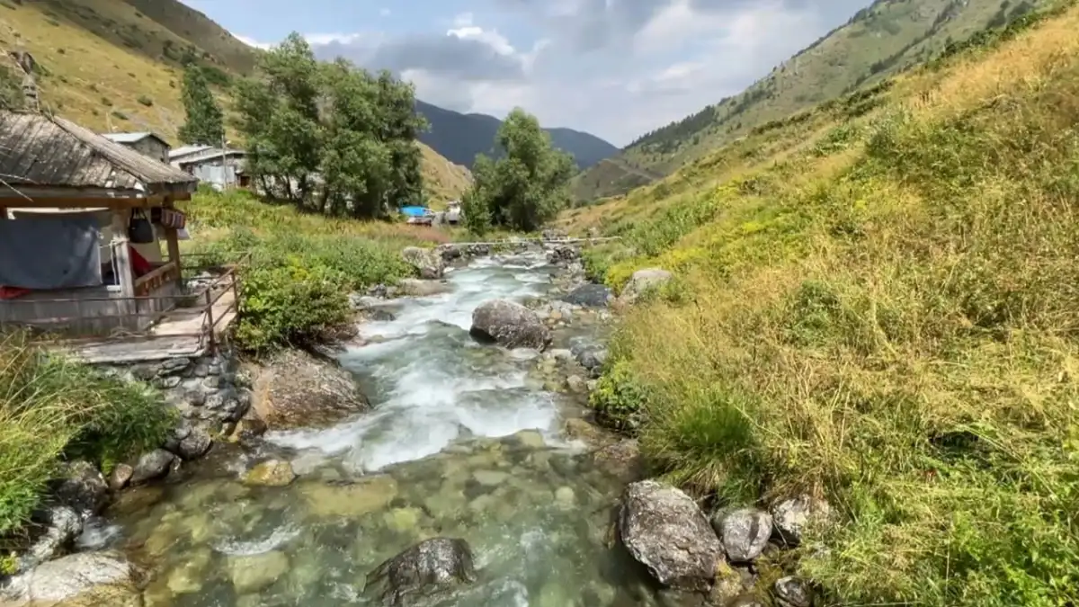 Kaçkarlar’ın eteğindeki Yaylalar köyü yazın ziyaretçi akınına uğruyor