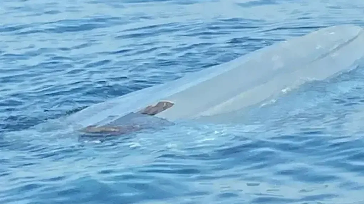 Karadeniz açıklarında insansız deniz aracı kontrollü imha edildi