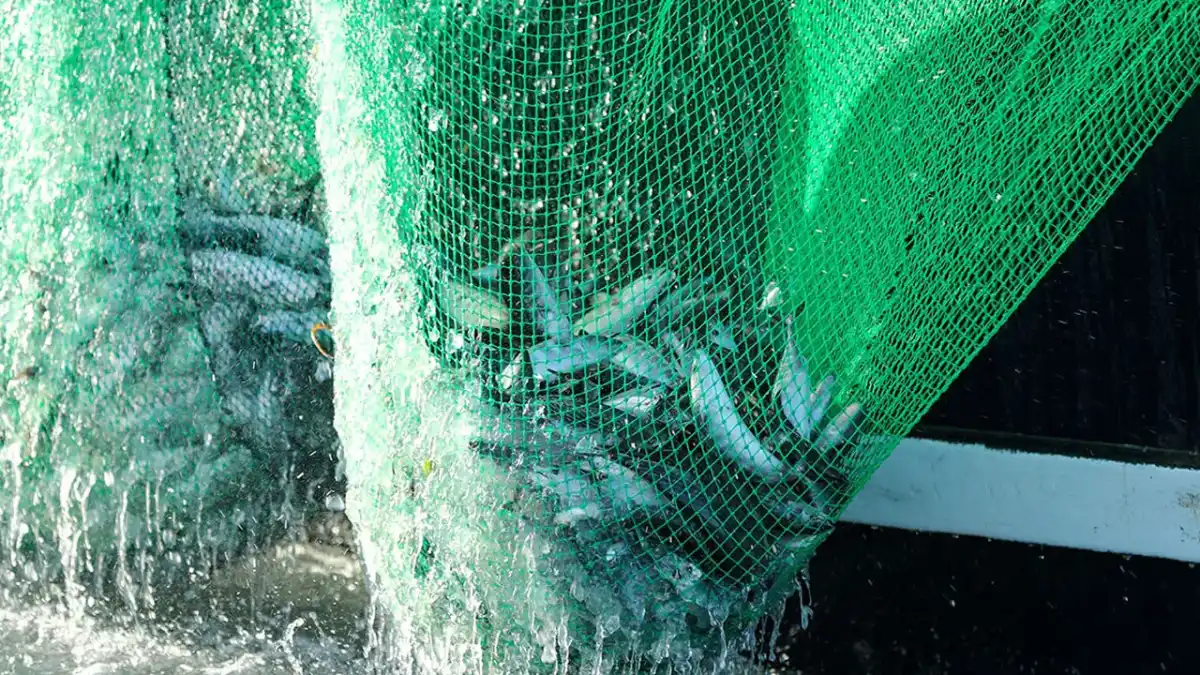 KTÜ’den Karadeniz için BIOBLACK çalıştayı: 2 Eylül’de başlıyor
