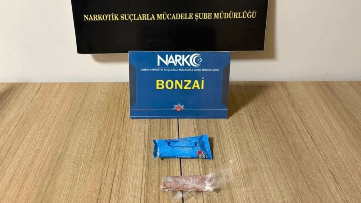 Narkotik ekiplerinden operasyon! Ordu'da 2 şüpheli cezaevine gönderildi