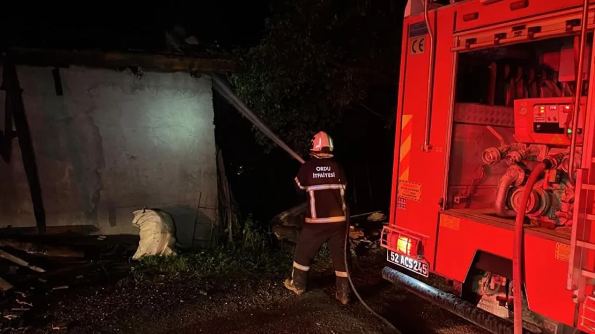 Ordu’da ahır yangını: 1 buzağı telef oldu, 1 inek yaralandı