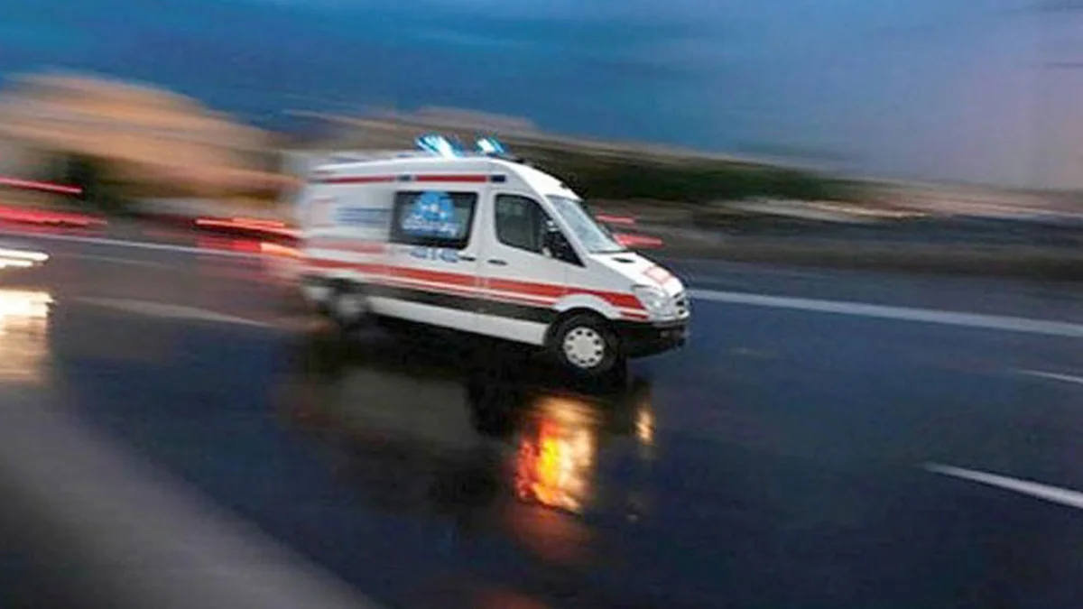 Ordu’da fındık bahçesinde patpat kazası!