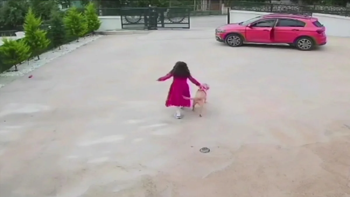 Ordu’da köpeğe çarpıp kaçtı! 10 yaşındaki çocuk baygınlık geçirdi