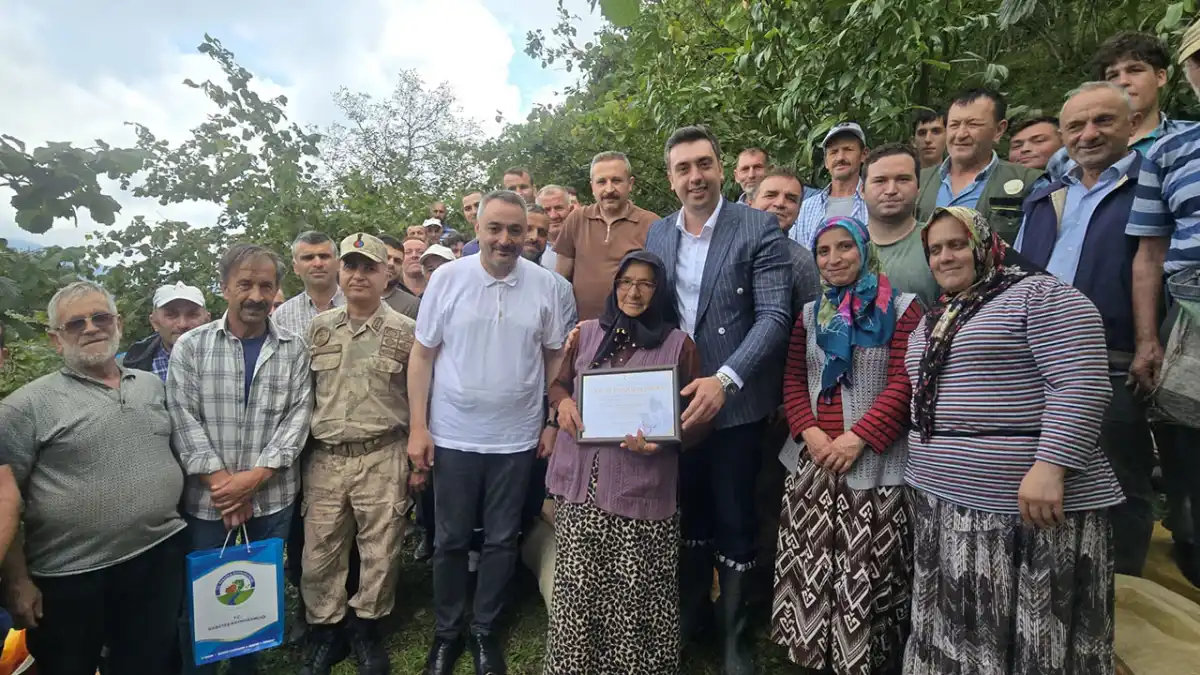 Ordu’da örnek dayanışma: 1 ton fındığı cami için topladılar