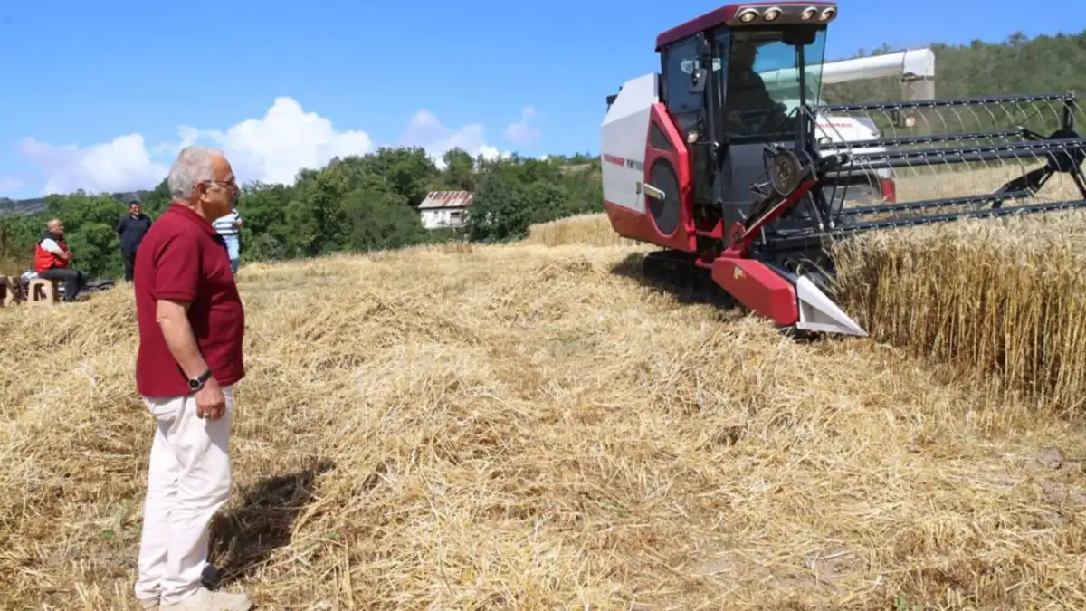 Ordu’da tarımda yeni dönem! Paletli biçerdöver ilk kez kullanıldı