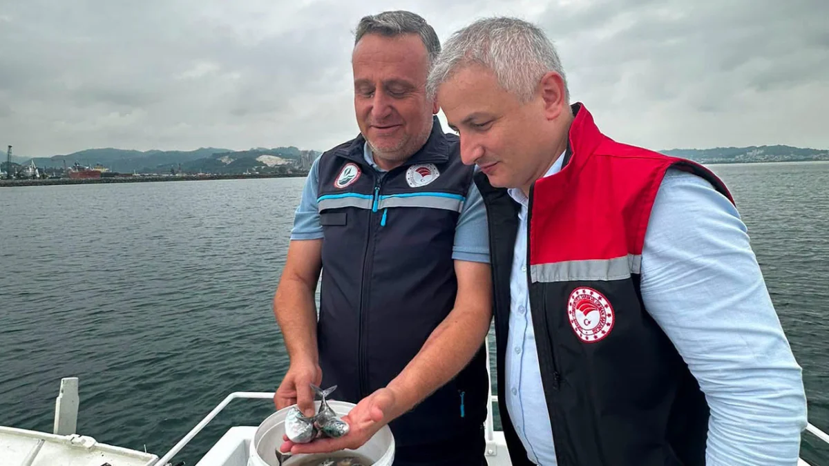 Ordu’da yasa dışı palamut avına 11 kişiye ceza