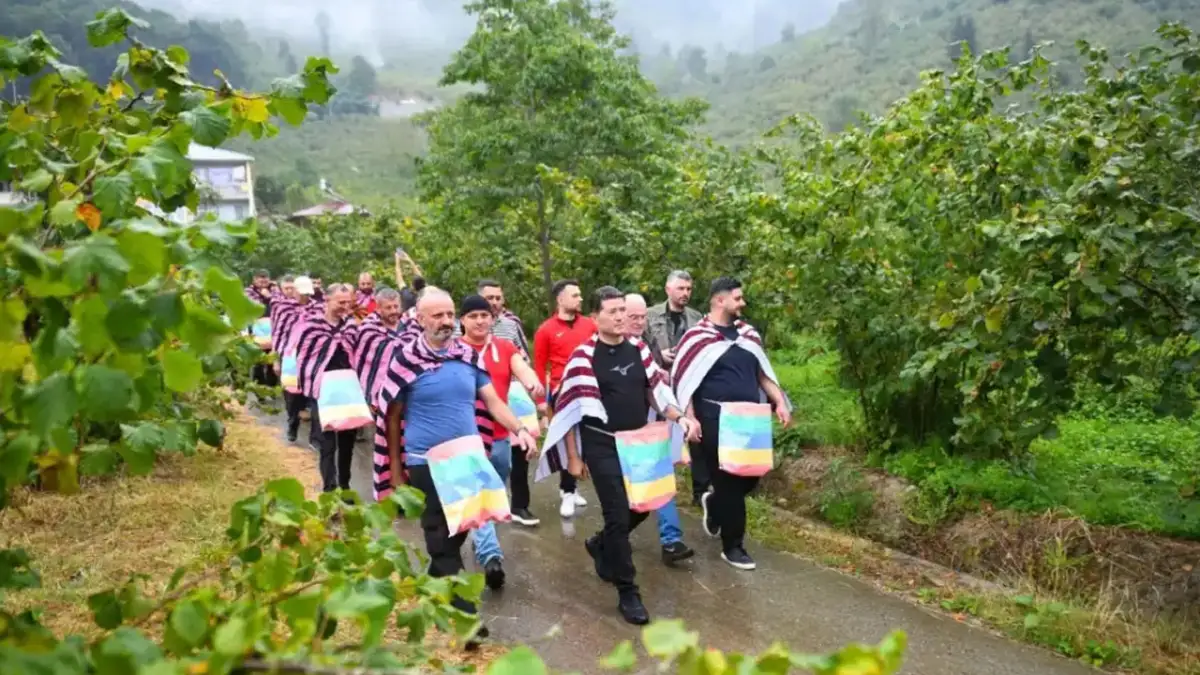 Ortahisar'da fındıklar bursa dönüşüyor
