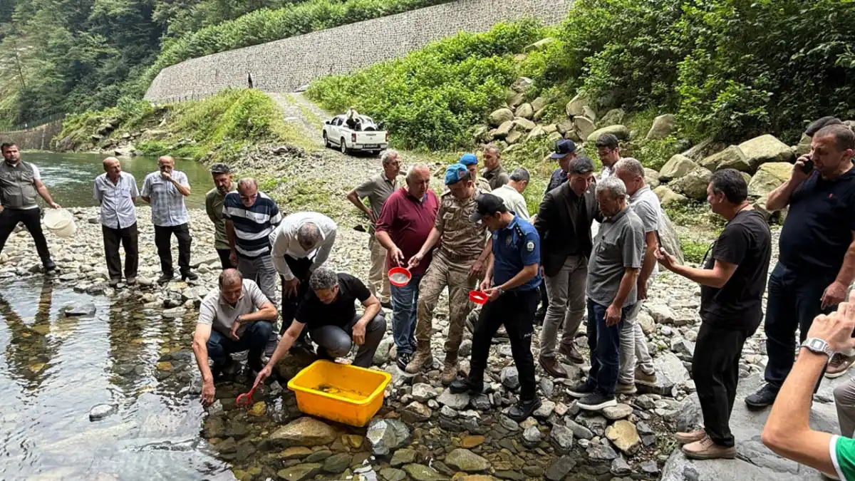 Rize'de derelere 25 bin kırmızı benekli alabalık salındı