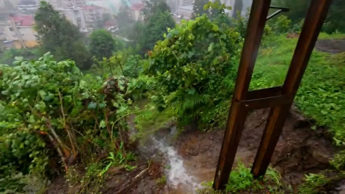 Rize’de sağanak sonrası 5 ilçede 61 noktada heyelan yaşandı