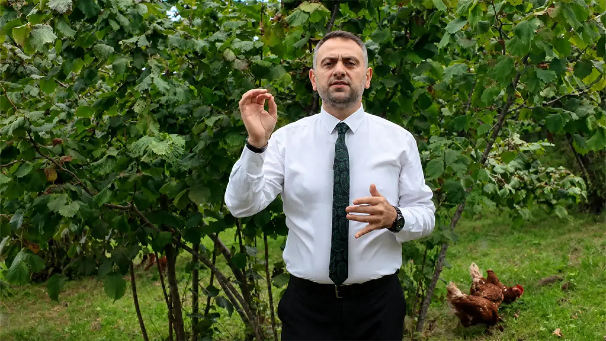 Saadet Partisi’nden fındık fiyatı tepkisi: “Alın teri yok sayılıyor”