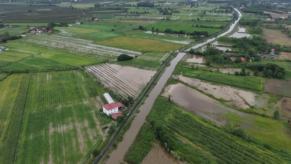 Samsun’da sağanak felaketi! Evler ve tarım arazileri sular altında kaldı