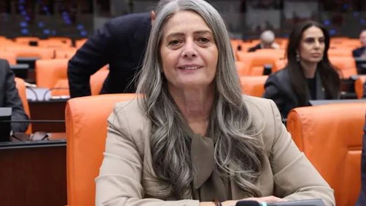 Sibel Suiçmez’den fındık fiyatı çağrısı! “En az 350 lira açıklayın”
