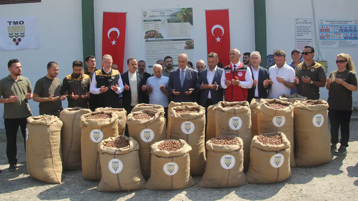 TMO açıkladı: Geçen yılın fındığı bu yıl alınmayacak