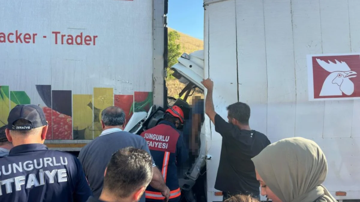 Trabzon plakalı tıra çarpan kamyon sürücüsü hayatını kaybetti
