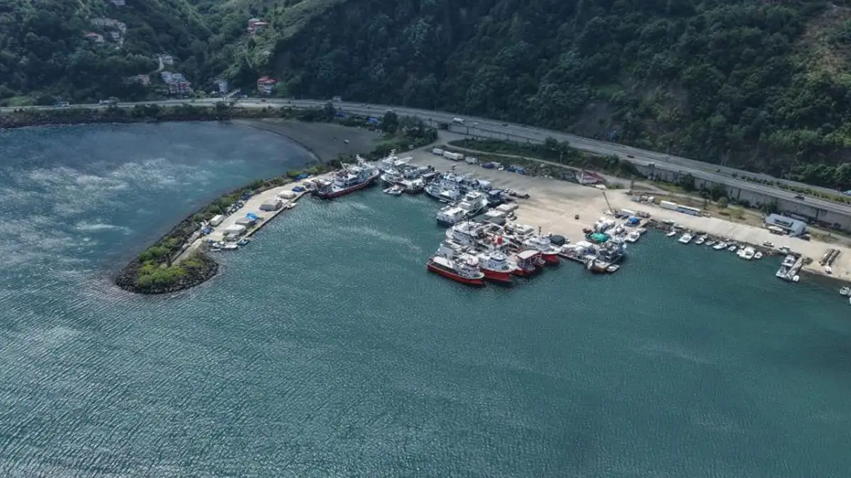 Trabzon’da balıkçıların yüzü güldü! Palamut umudu sezon öncesi arttı