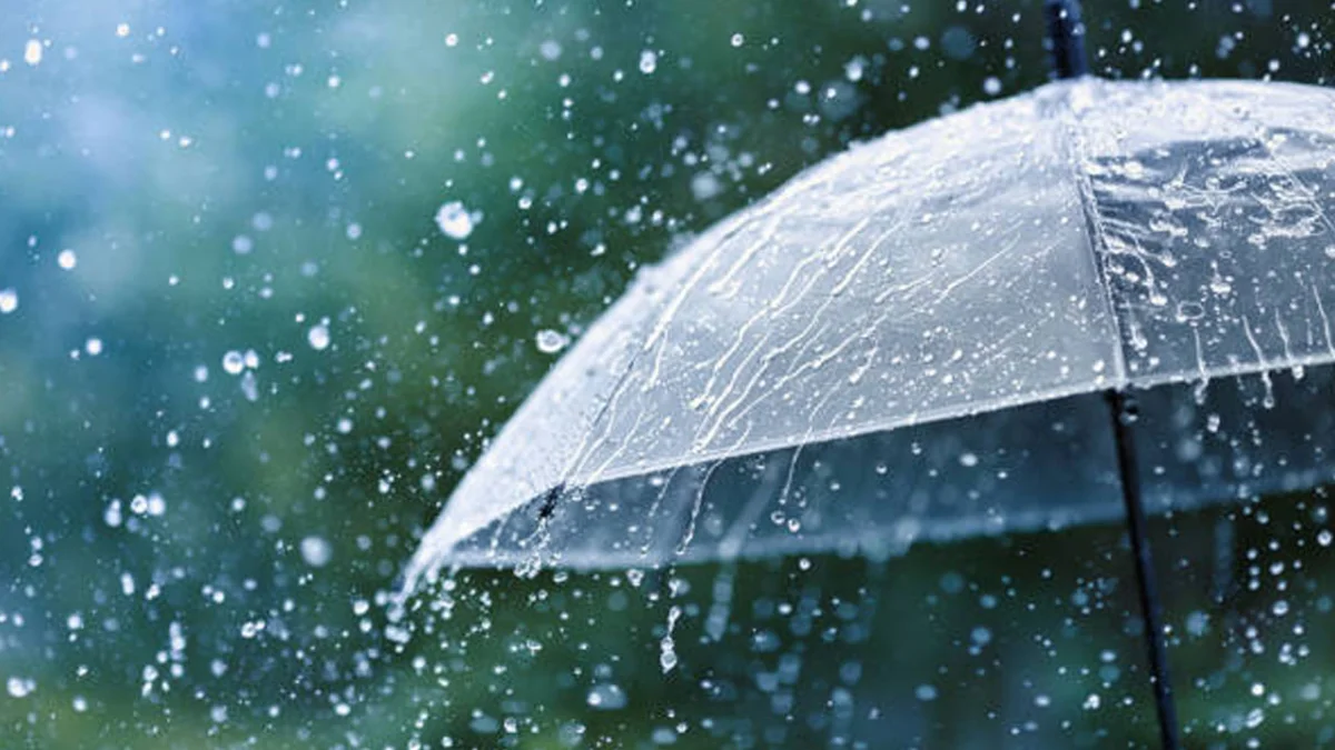 Trabzon’da bugün hava nasıl olacak? Meteoroloji saat saat açıkladı