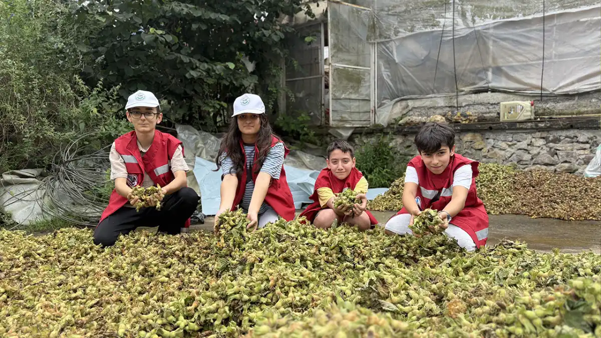 Trabzon’da çocuklar fındık bahçesinde organik tarımı öğrendi