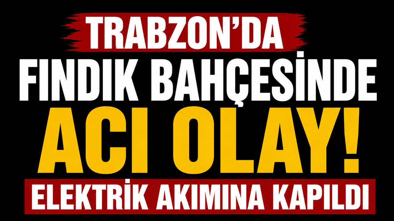 Trabzon’da fındık bahçesinde acı olay! Elektrik akımına kapıldı