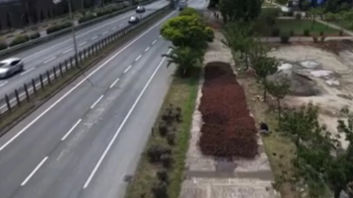 Trabzon'da fındık  nöbeti! Çalınırlar diye  başlarından  ayrılmıyorlar