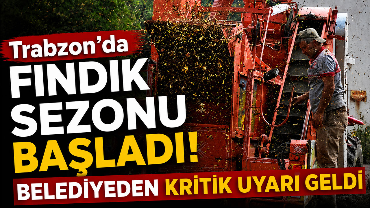 Trabzon'da fındık sezonu başladı! Belediyeden kritik uyarı geldi