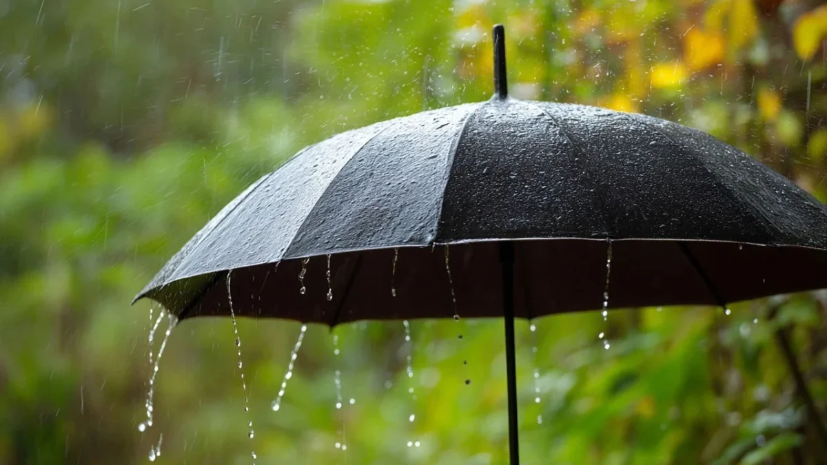 Trabzon’da yağış alarmı! Meteoroloji’den kuvvetli sağanak uyarısı