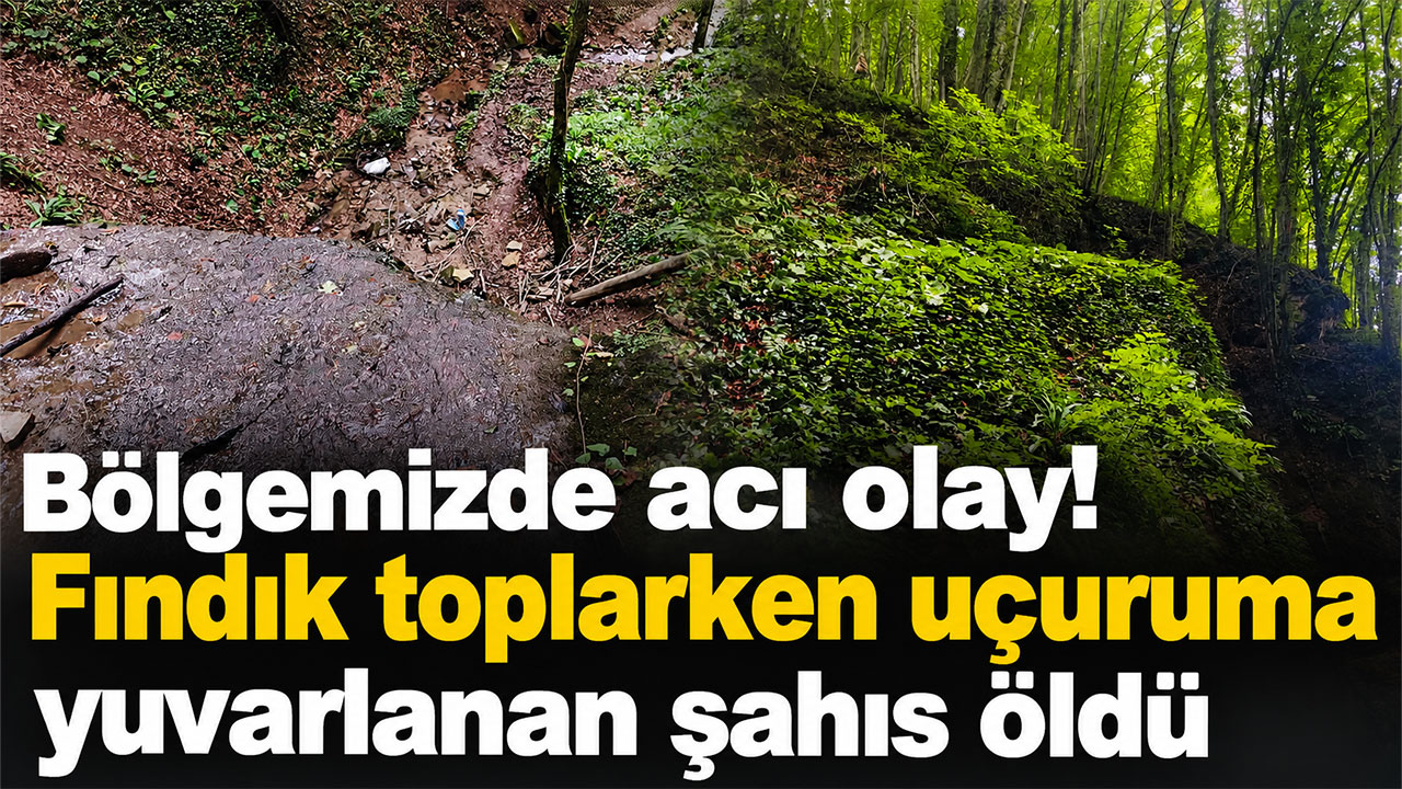 Bölgemizde acı olay! Fındık toplarken uçuruma yuvarlanan şahıs öldü